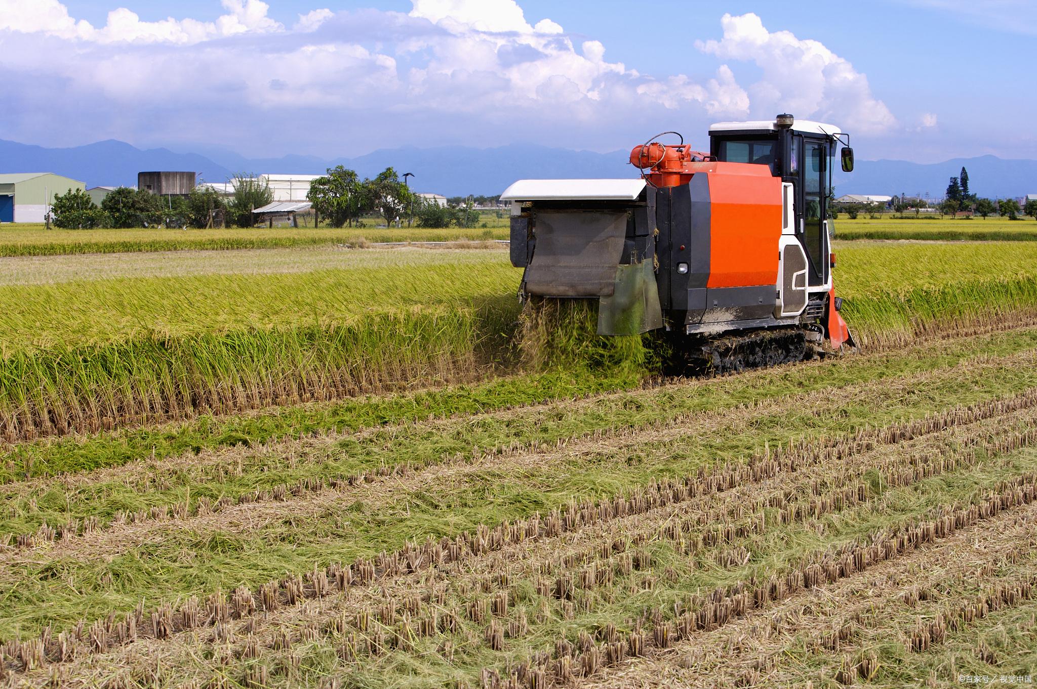 糧食安全戰(zhàn)略引領(lǐng)，A股農(nóng)業(yè)板塊逆市走強(qiáng) 四只潛力黑馬股深度解析